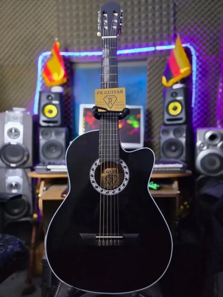 گیتار کلاسیک زیبا حرفه ای به همراه سافت کیس رایگان|گیتار، بیس، امپلیفایر|تهران, نارمک|دیوار