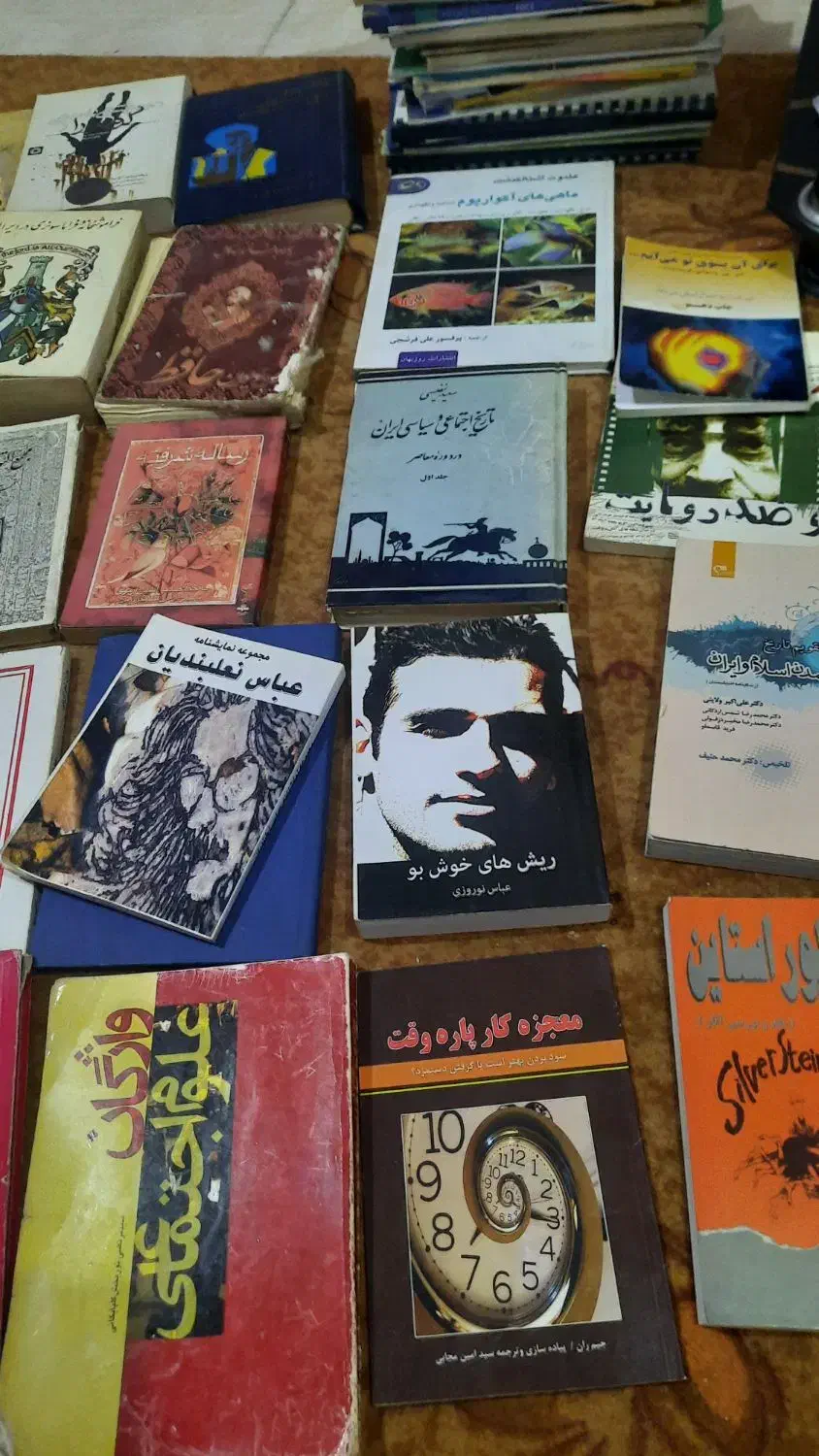 کتاب ادبی تاریخی|کتاب و مجله تاریخی|ایلام, |دیوار