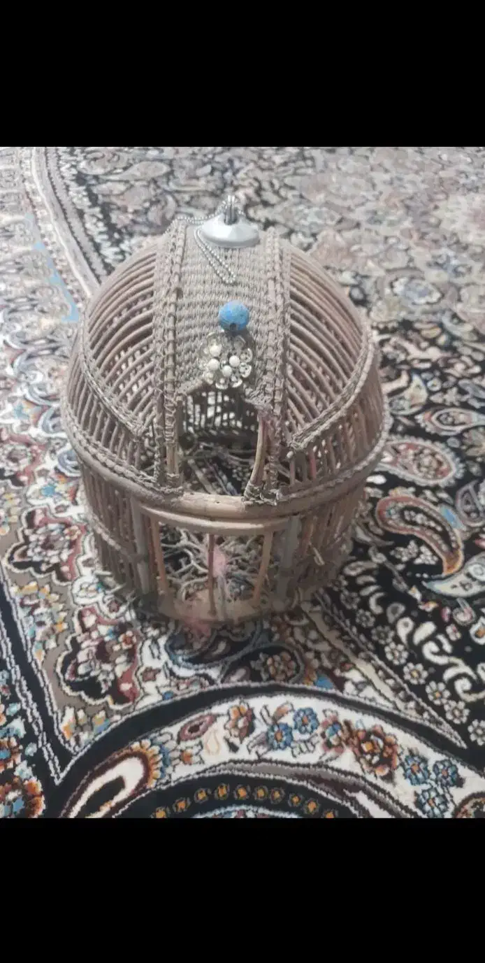 قفس کبک|لوازم جانبی حیوانات|فریمان, |دیوار