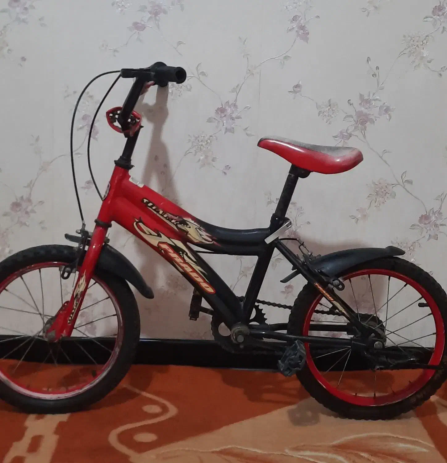 ماشین و دوچرخه|دوچرخه، اسکیت، اسکوتر|بندرعباس, |دیوار