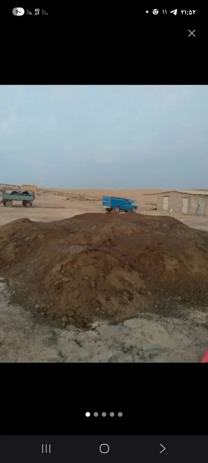 کودخالص گاوی فروشی|گل و گیاه طبیعی|رامیان, |دیوار