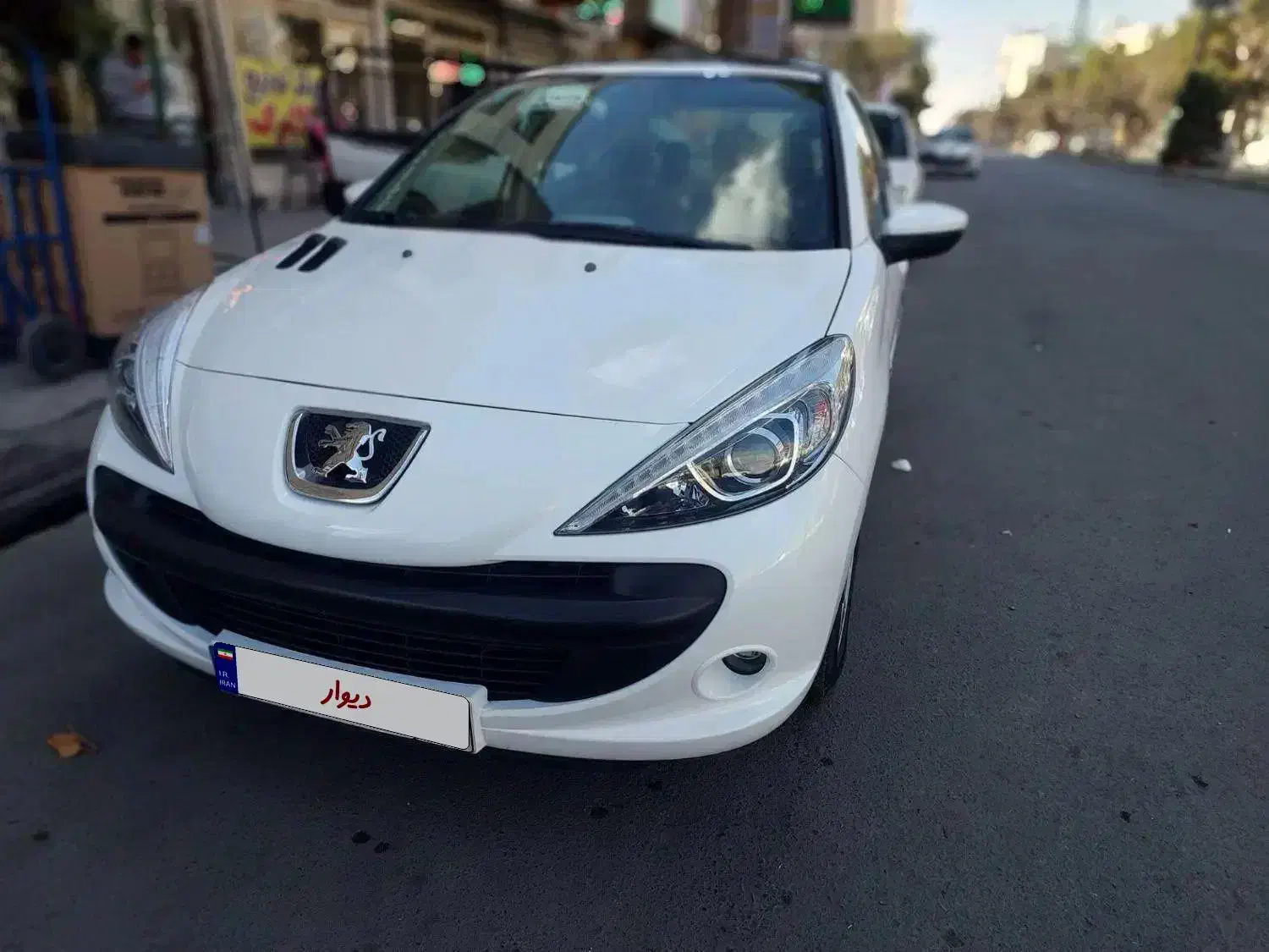 207پاناروما 401|خودرو کلاسیک|رباطکریم, رباطکریم|دیوار