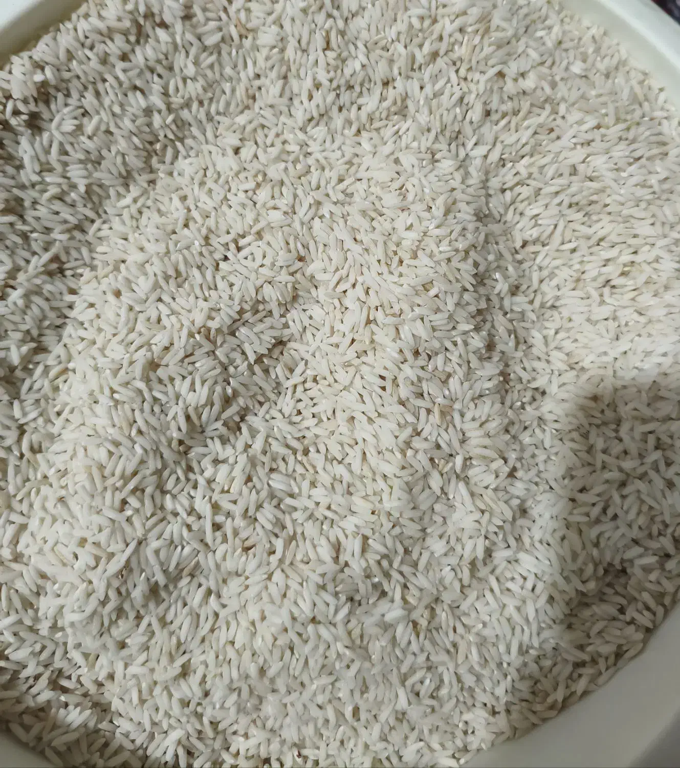 برنج علی کاظمی درود|خوردنی و آشامیدنی|تهران, سید خندان (جلفا)|دیوار