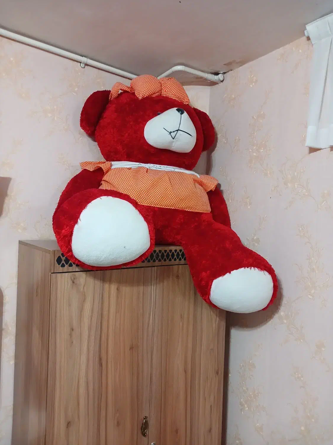 عروسک خرس بزرگ|اسباب‌‌بازی|قائن, |دیوار