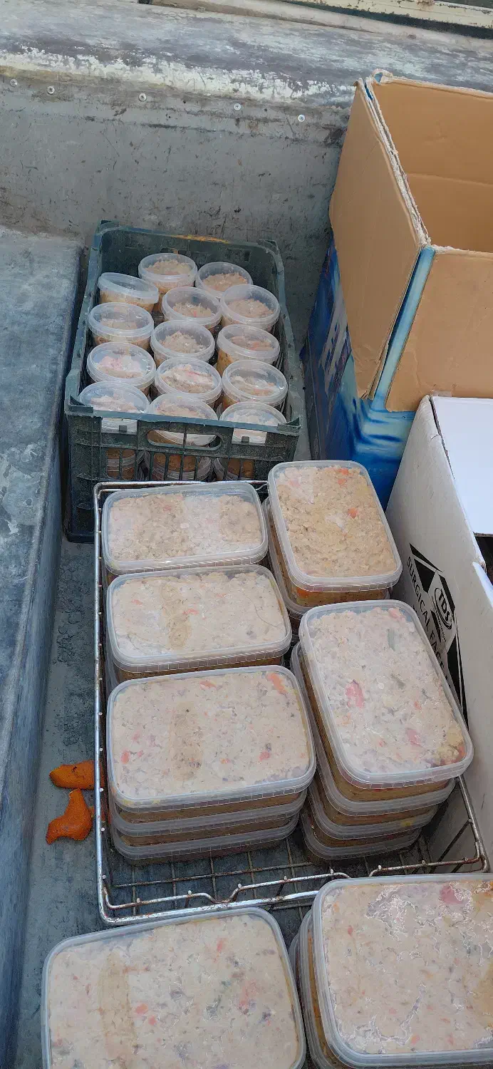 غذای خونگی سگ و گربه|لوازم جانبی حیوانات|شهریار, شهرک شاهد|دیوار