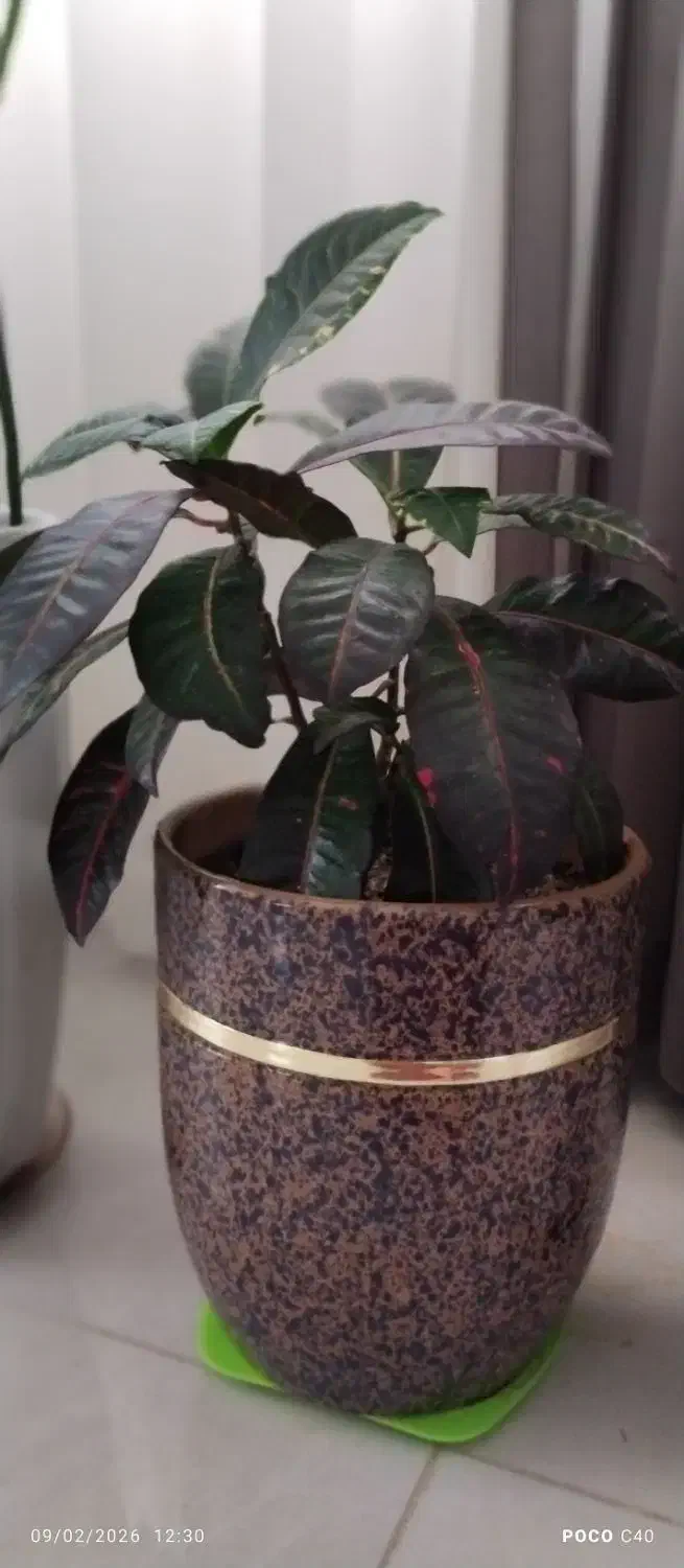 فراغت نیه|کتاب و مجله آموزشی|سنندج, |دیوار