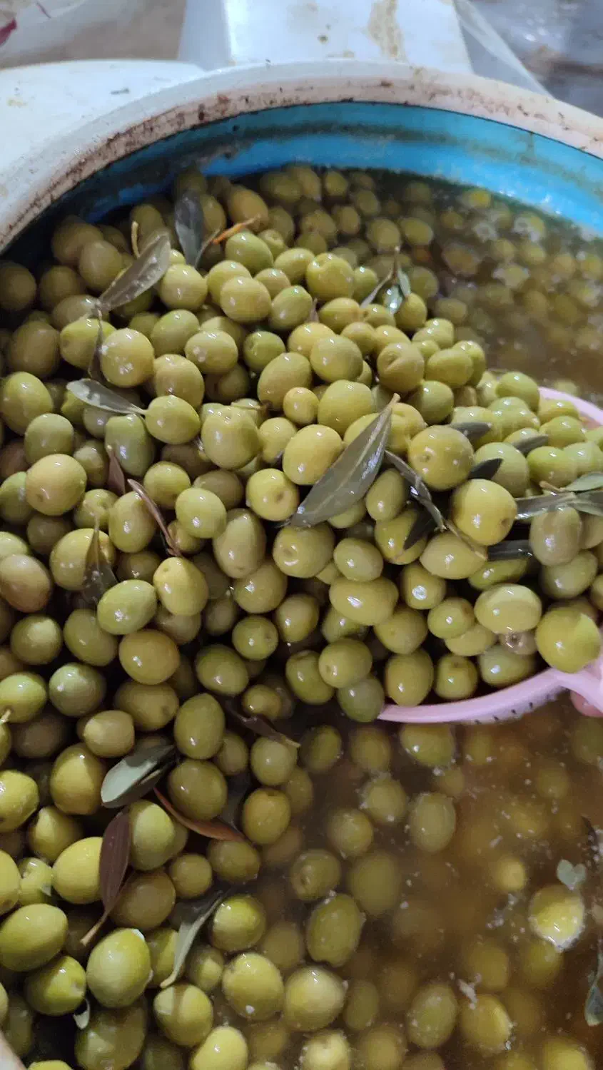 زیتون طارم|خوردنی و آشامیدنی|گیلوان, |دیوار