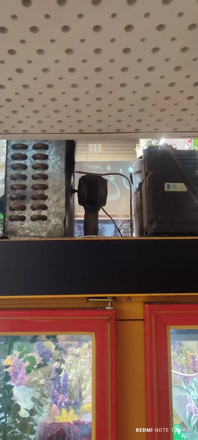 یخچال فروشگاه|فروشگاه و مغازه|مرند, |دیوار