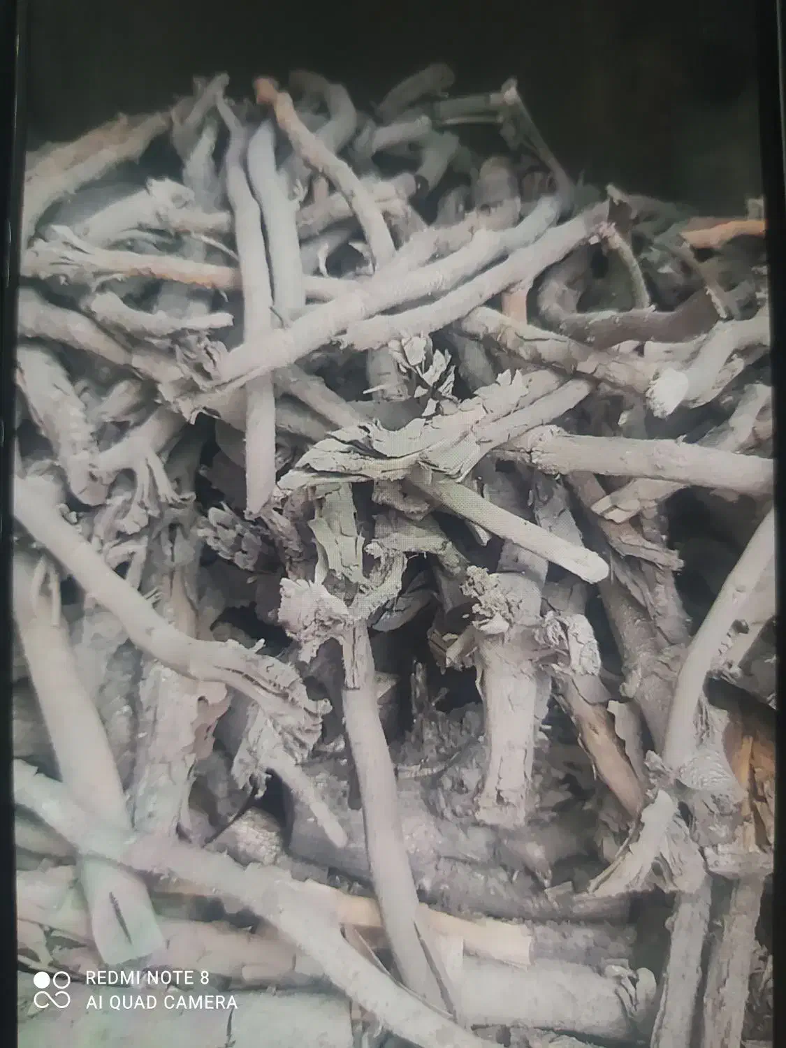 زغال کبابی|عمده‌فروشی|رشت, لاکان|دیوار