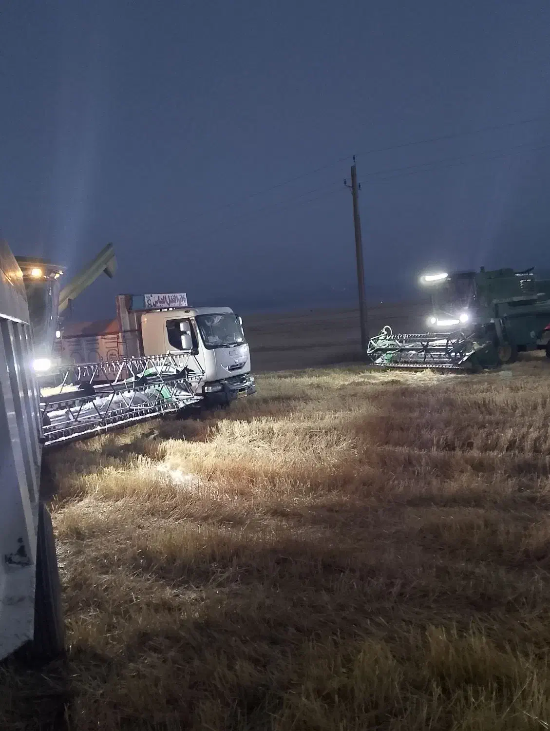 یونجه|حیوانات مزرعه|کوهدشت, |دیوار