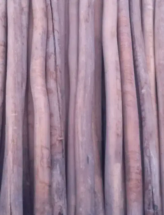 خریدار انواع چوب|خدمات باغبانی و درختکاری|شهرکرد, |دیوار