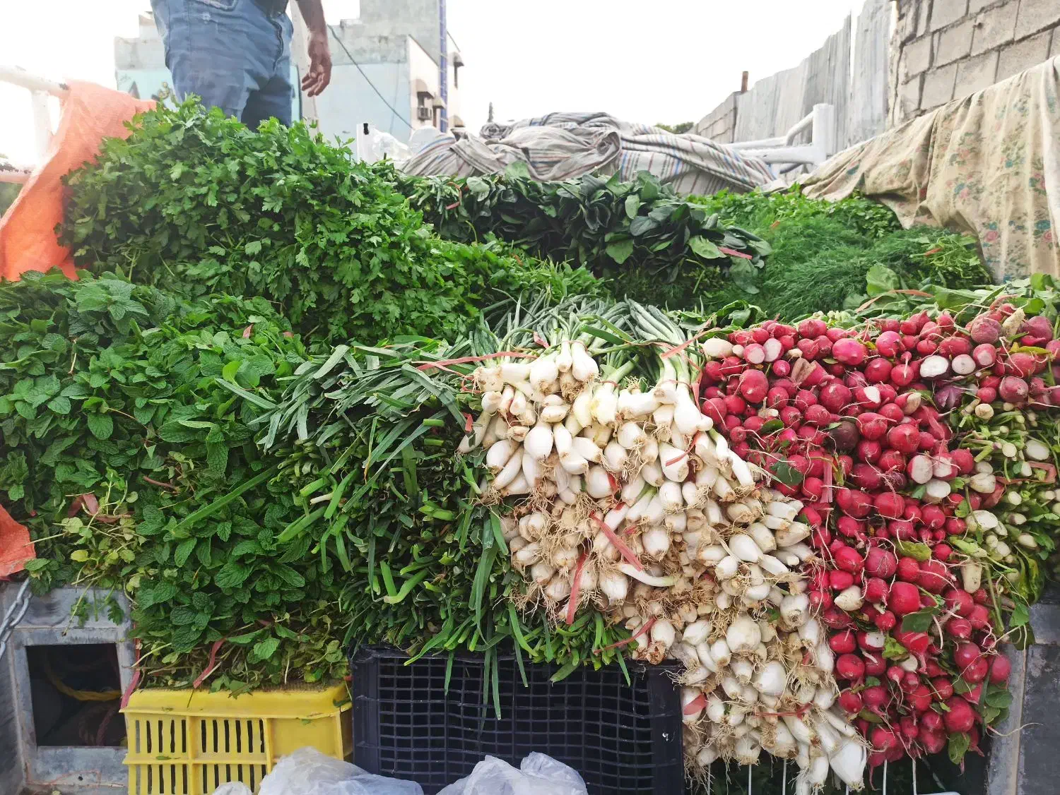 سبزی خورشتی رامهرمز|خوردنی و آشامیدنی|لردگان, |دیوار