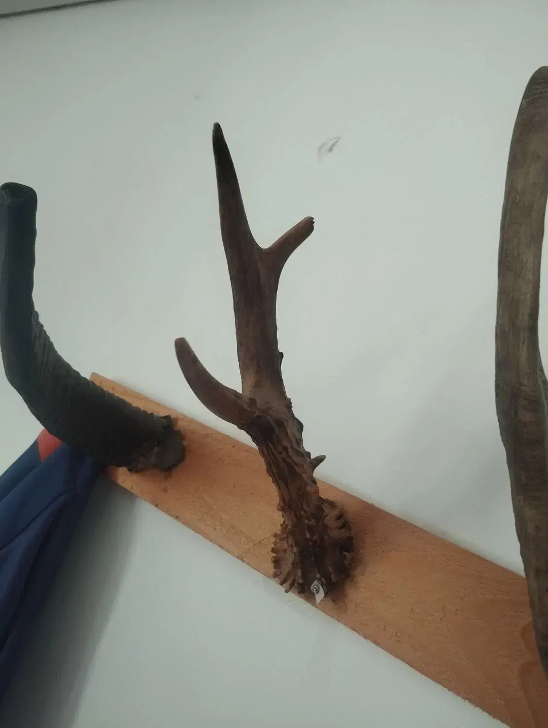 اسباب بازی شاخ|صنایع دستی و سایر لوازم تزئینی|علیآباد کتول, |دیوار