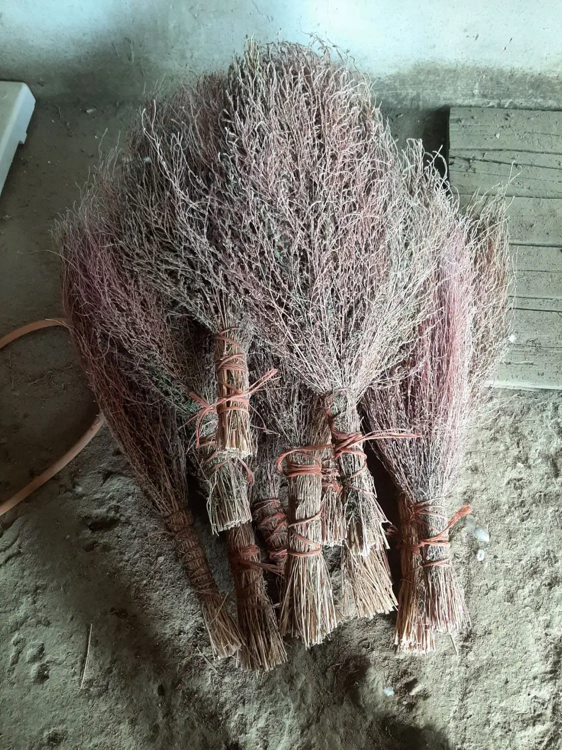 جارو محلی قرمز و بزرگ|لوازم نظافت|اسدآباد, |دیوار