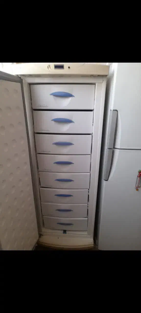 یخچال وفریزر|یخچال و فریزر|ری, دیلمان|دیوار