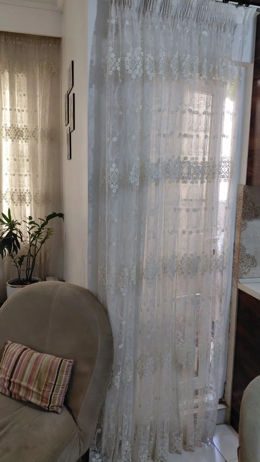پرده|پرده، رانر، رومیزی|رشت, آزادگان|دیوار