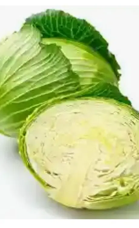 کلم|خوردنی و آشامیدنی|راهگان, |دیوار