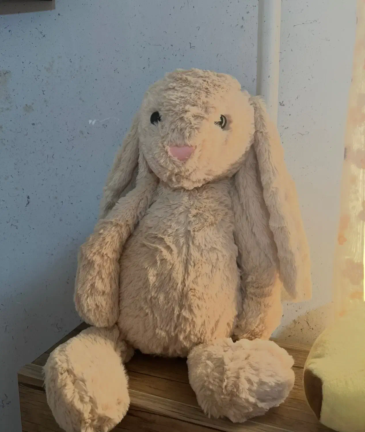 عروسک خرگوش|اسباب‌بازی بچه|ساری, |دیوار