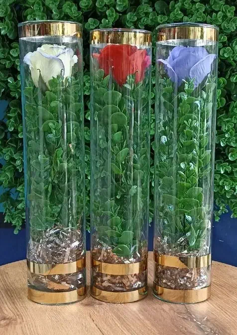 انواع شاخه گل رز مصنوعی در شیشه ویژه روز مادر|گل مصنوعی|قم, نیروگاه|دیوار