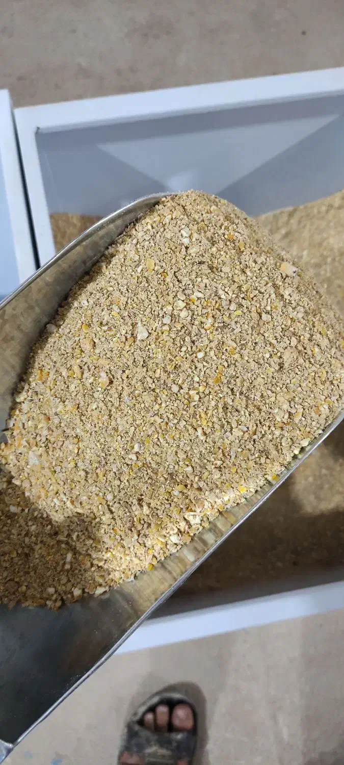 دان مرغی با بهترین مواد|لوازم جانبی حیوانات|یزد, |دیوار