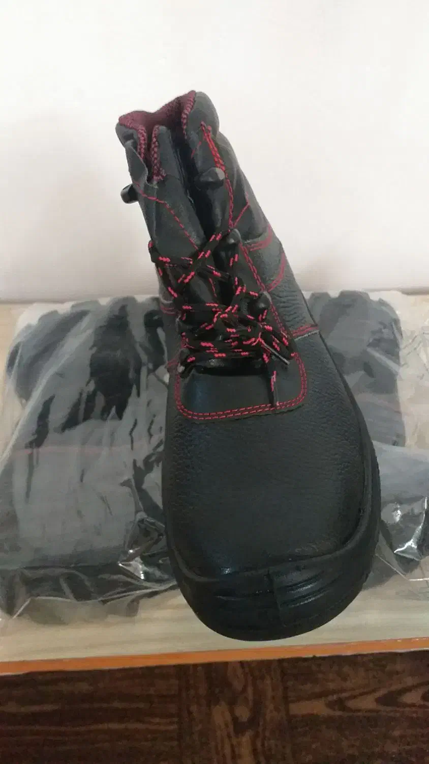 کفش کارایمنی|کیف، کفش، کمربند|تبریز, |دیوار