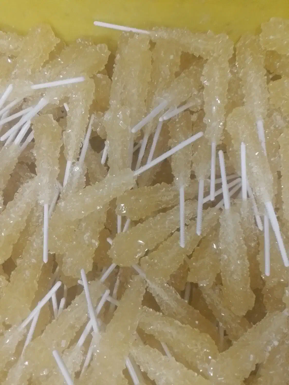 نبات چوبی زرد|خوردنی و آشامیدنی|اصفهان, پوریای ولی|دیوار