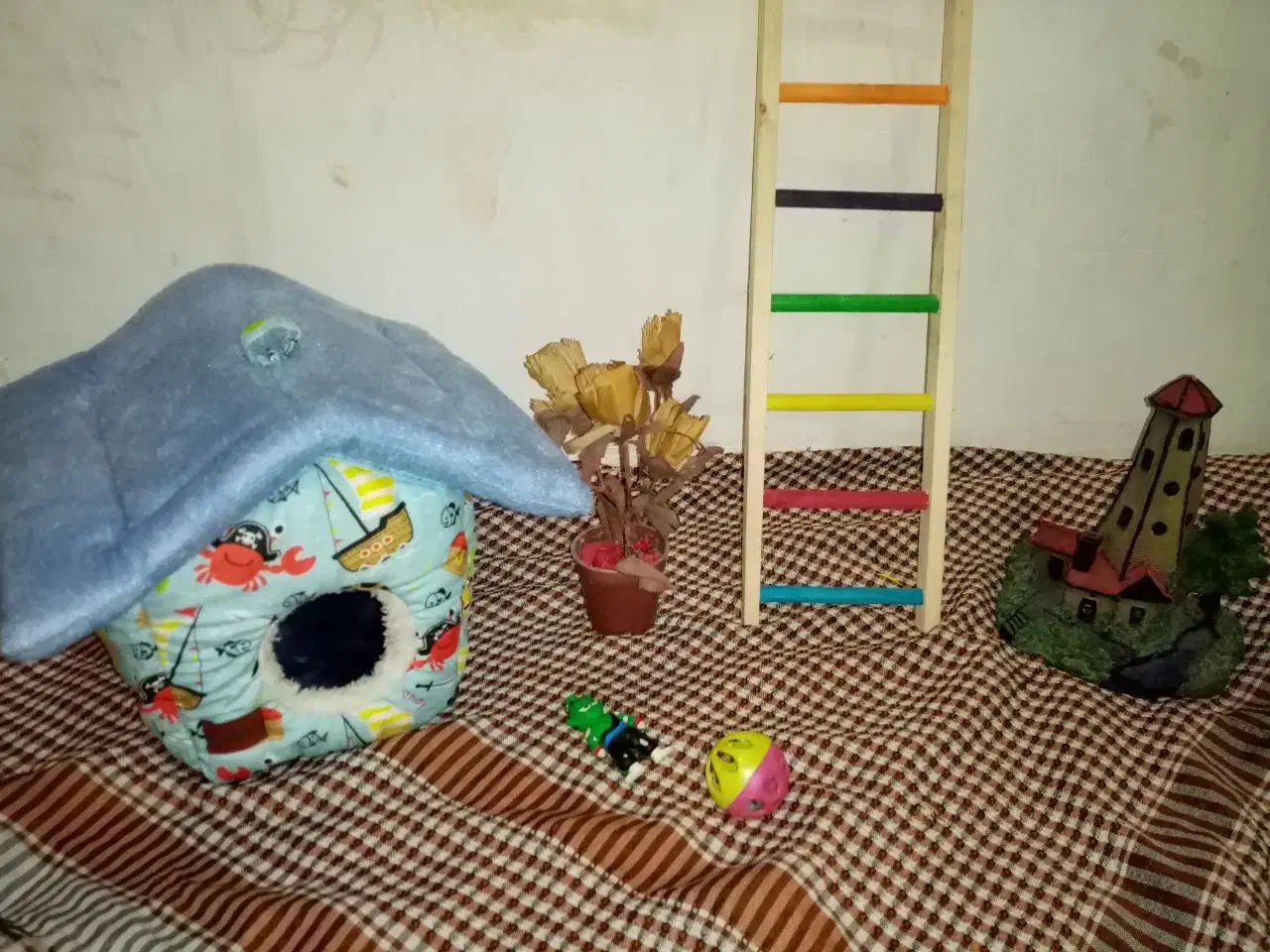 Box ولونه عروس وکوتوله|لوازم جانبی حیوانات|مشهد, امیرآباد|دیوار