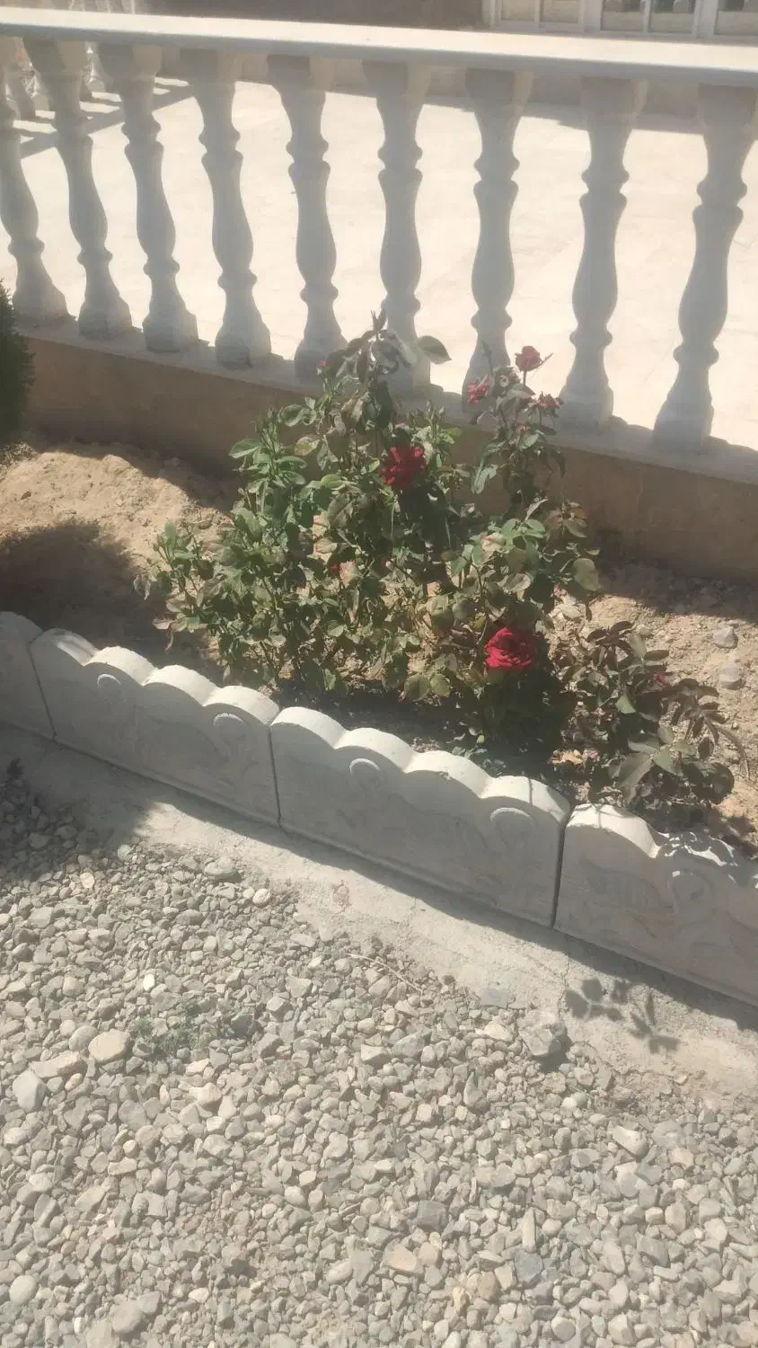 زمین ۷۰۰متری ملکی باآب برق فردوسی زاک ماریان|فروش زمین و ملک کلنگی|مشهد, توس فردوسی|دیوار