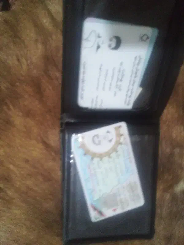 پیدا شده|اشیا|ساوه, |دیوار