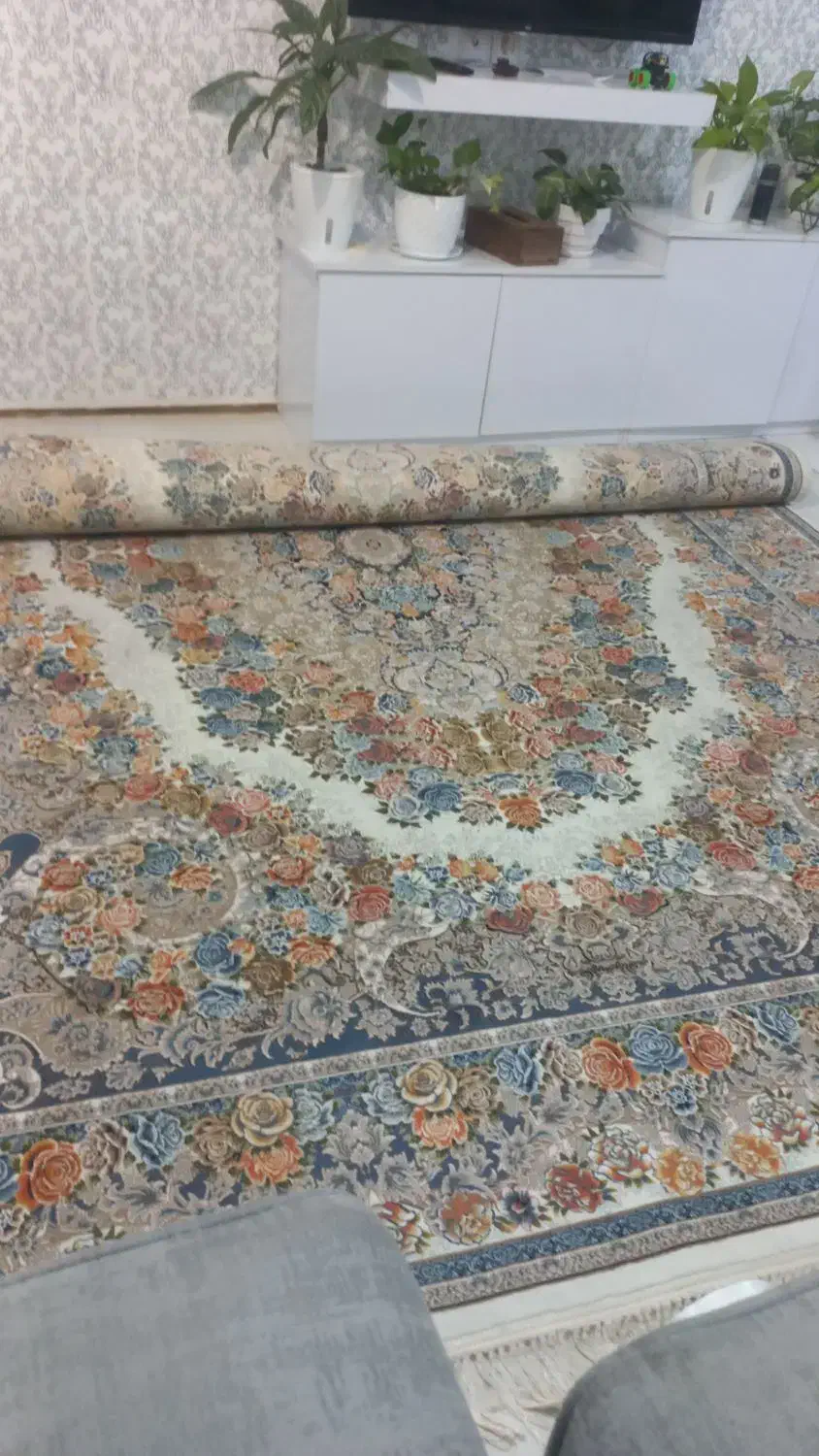 فرش طرح گلدار در حد نو|فرش|رشت, سلیمانداراب|دیوار