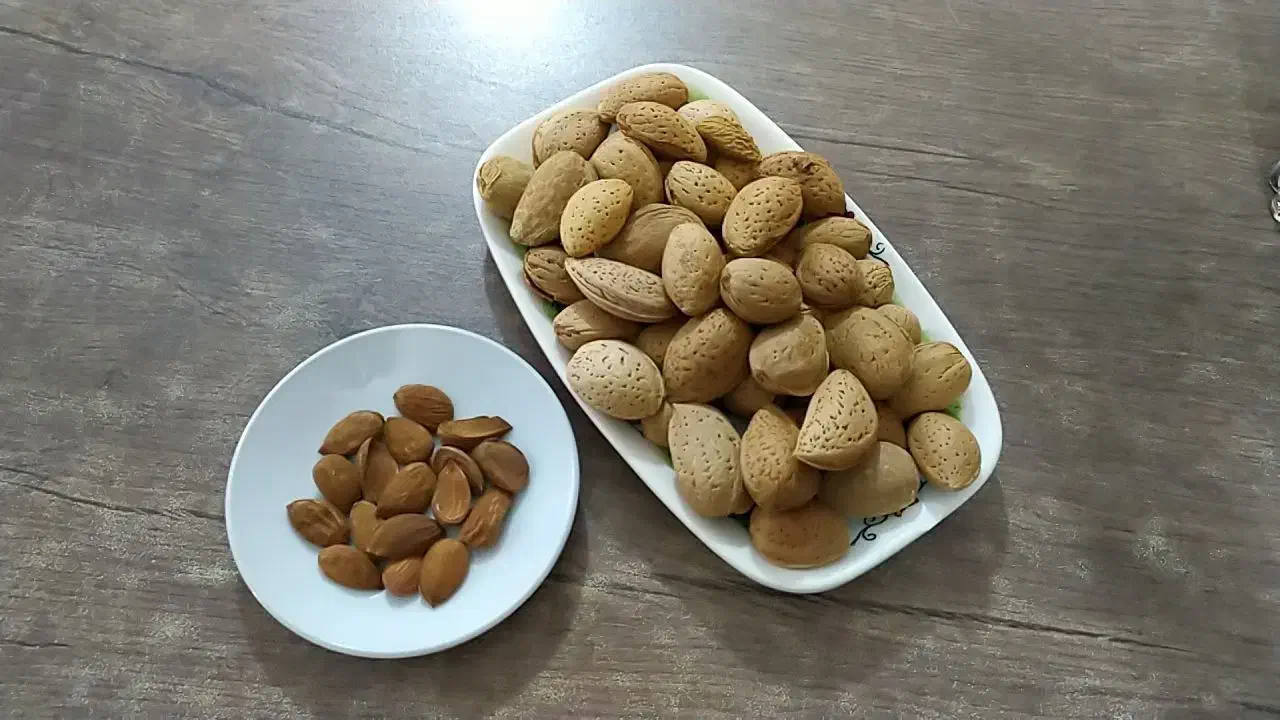 بادام سنگی. ساوه 370|خوردنی و آشامیدنی|پاکدشت, شهرک امام رضا|دیوار