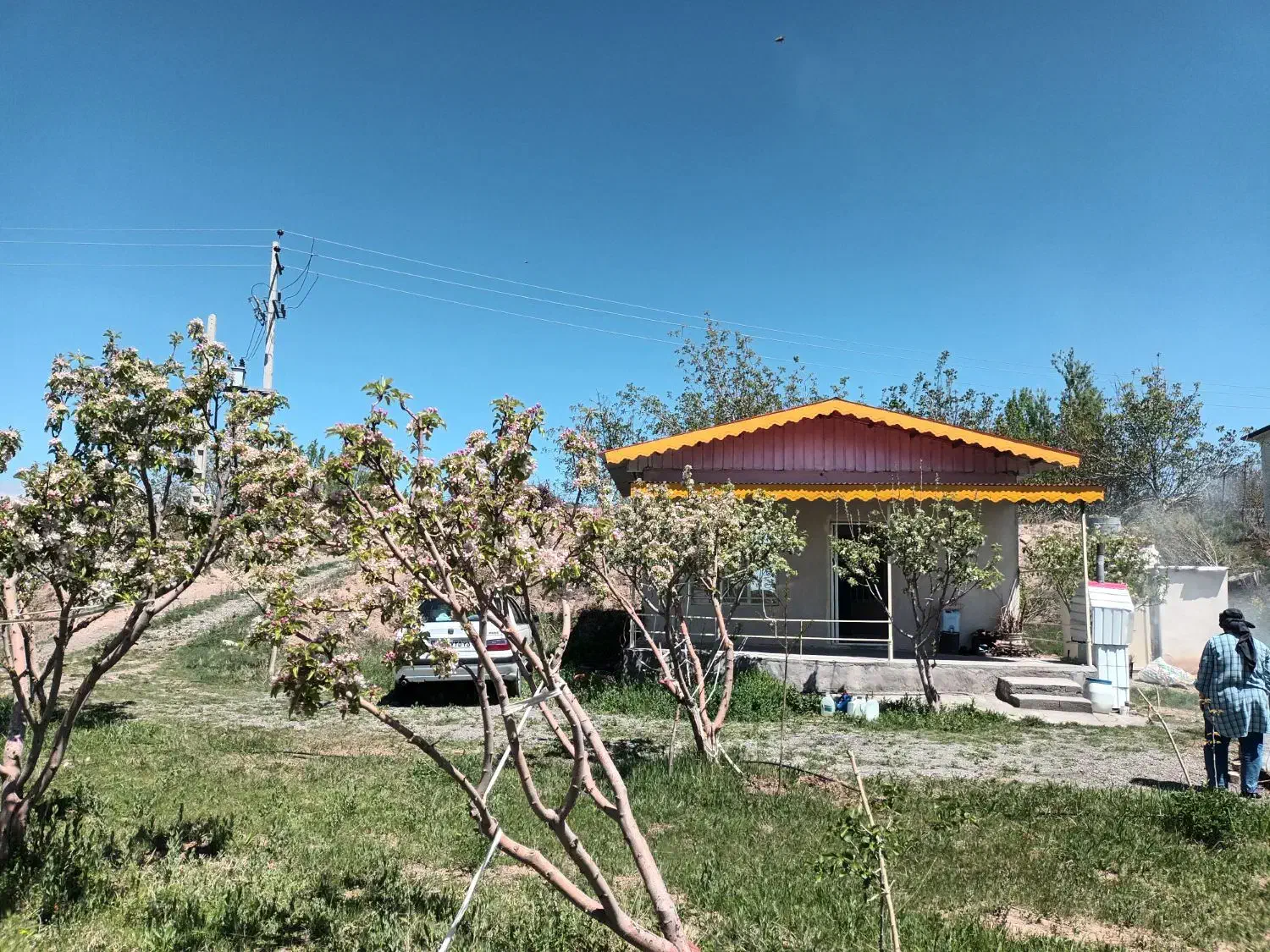 ۱۴۰۰ متر باغ مثمر ۱۲ ساله در آونلیق|فروش زمین و ملک کلنگی|کندوان, |دیوار