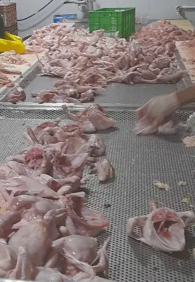 کار در قطعه بندی کشتارگاه خمین|استخدام خدمات فروشگاه و رستوران|الیگودرز, |دیوار