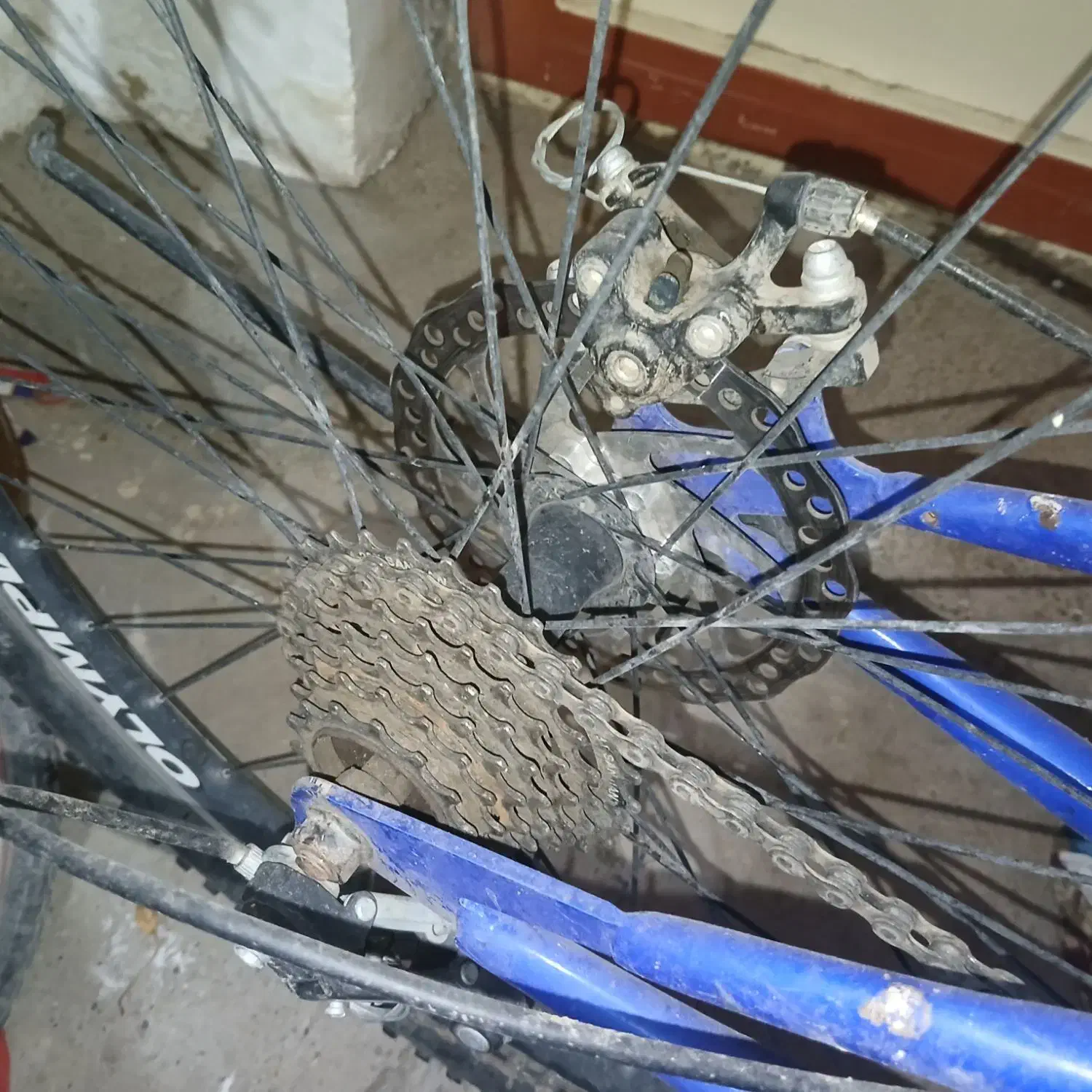 د و چرخه ی ۲۶|دوچرخه، اسکیت، اسکوتر|هرسین, |دیوار