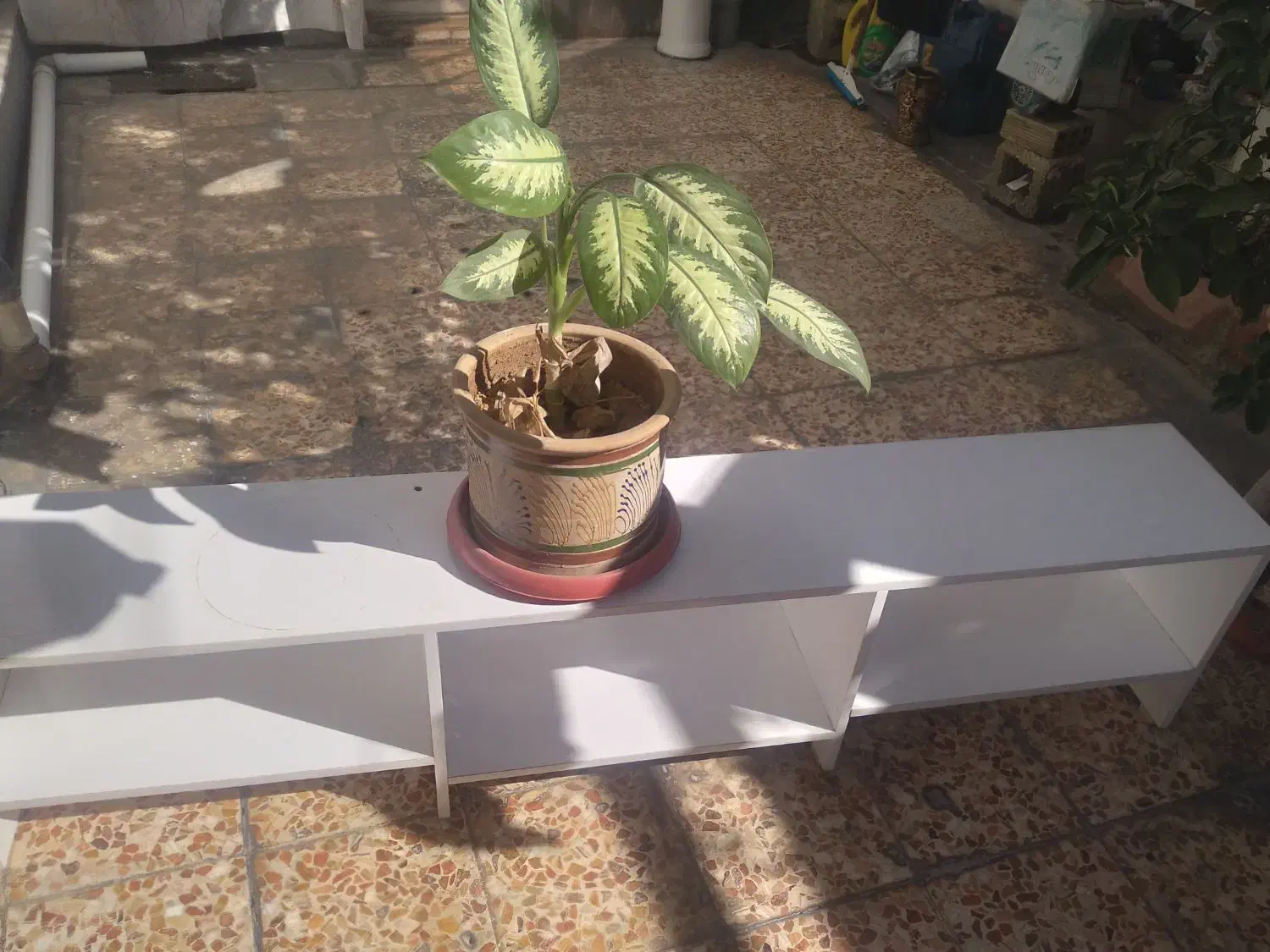 زیر گلدانی تر تمیز ومحکم جنس ام دی اف جا دار|گل و گیاه طبیعی|ایذه, |دیوار