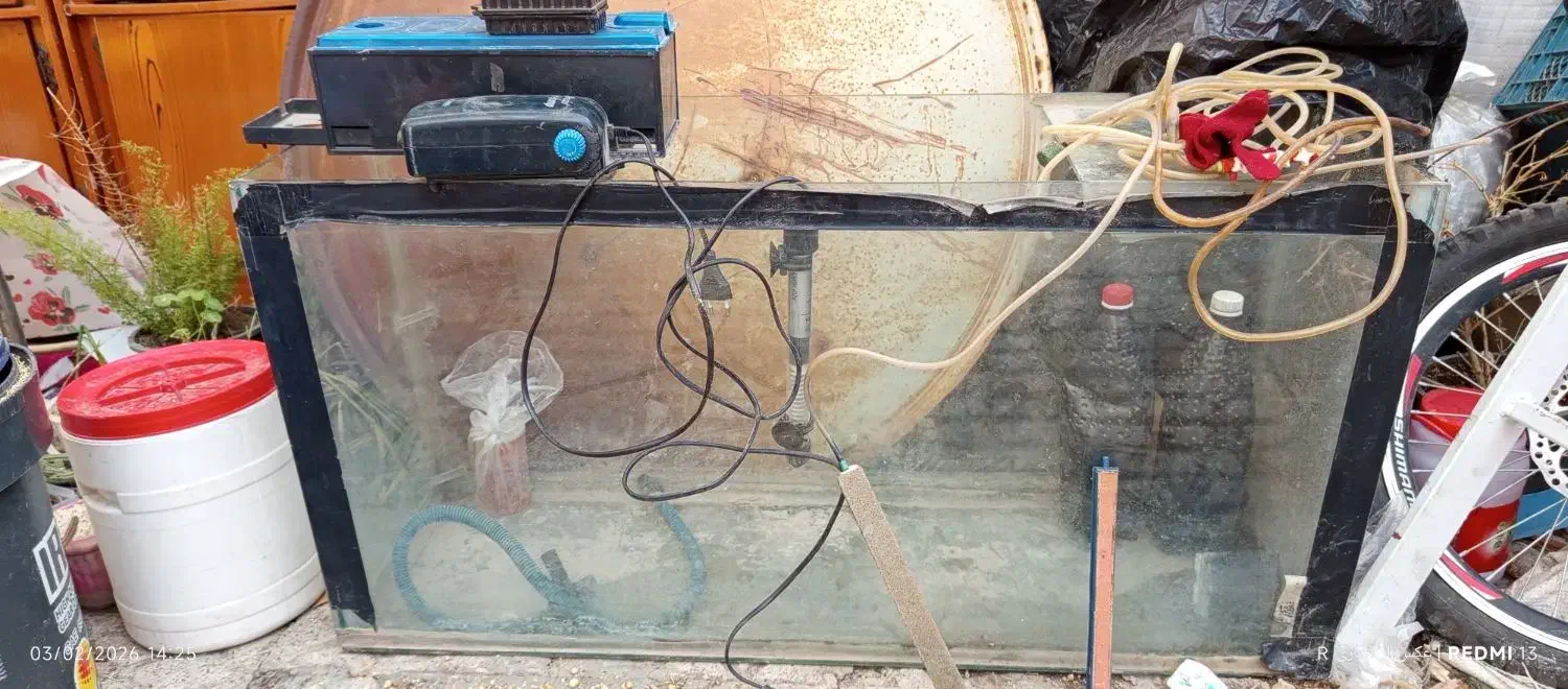 آکواریوم.بزرگ|ماهی|ارومیه, |دیوار