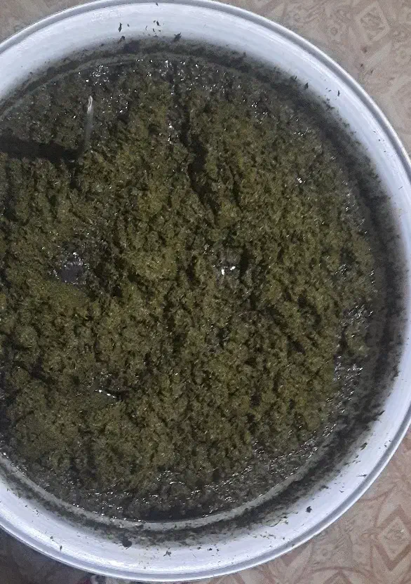 سبزی قورمه سرخ شده|خوردنی و آشامیدنی|قرچک, مهدیه|دیوار