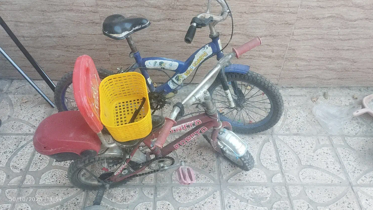 دوچرخه|دوچرخه، اسکیت، اسکوتر|تربتحیدریه, آغوی|دیوار