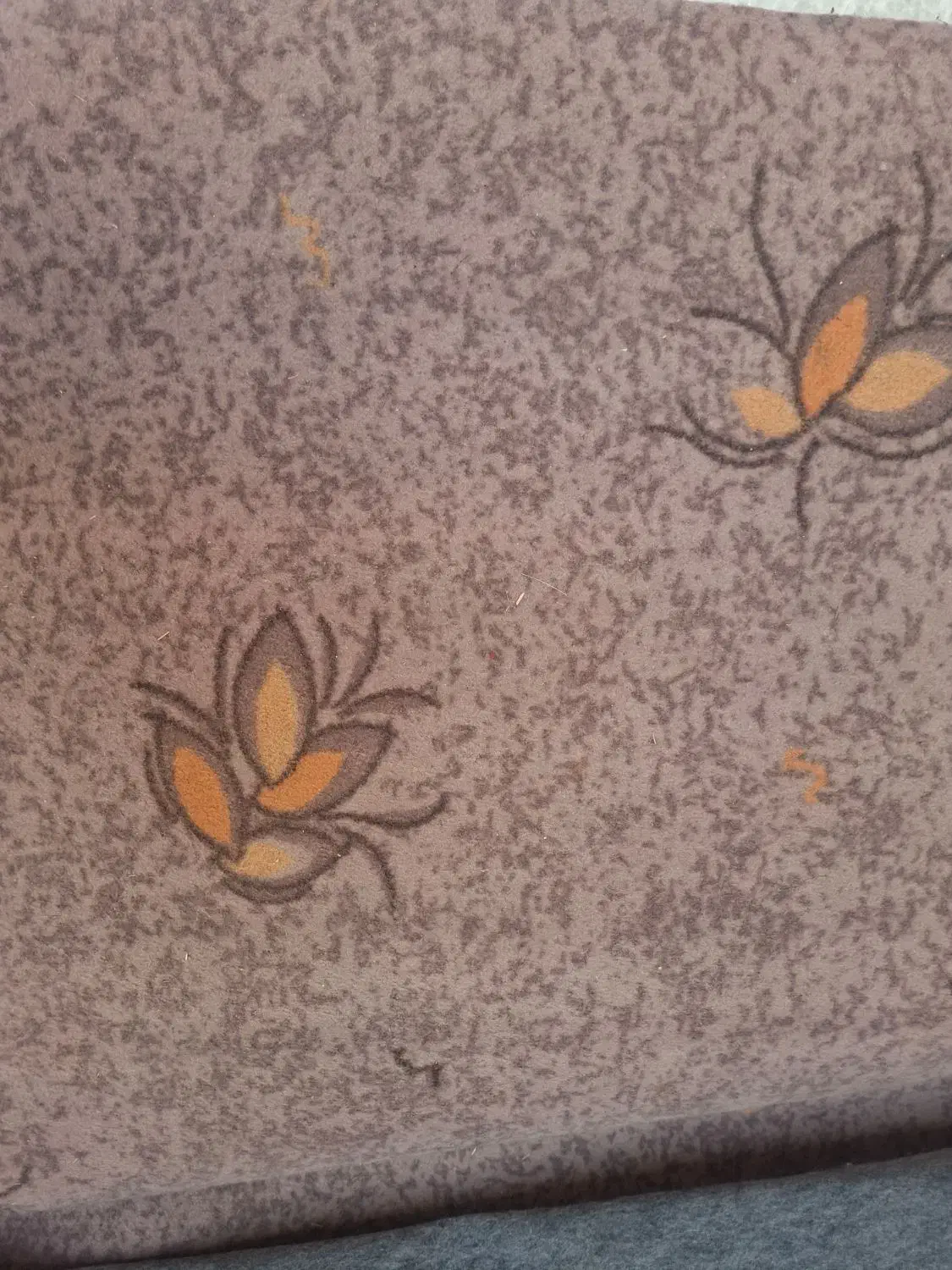 موکت|موکت|همدان, |دیوار