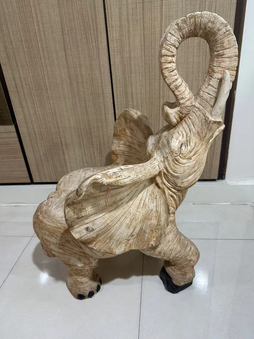 صندلی فیل|صندلی و نیمکت|اهواز, زیتون کارمندی|دیوار