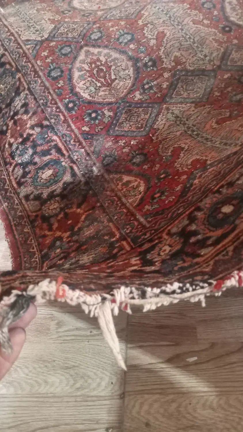 فرش دست بافت|فرش|رشت, استقامت ۲|دیوار