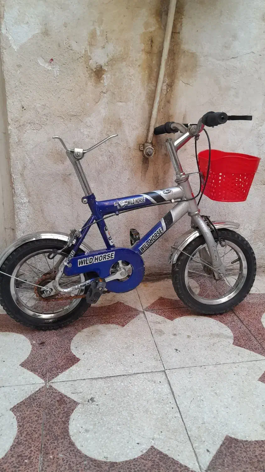 دوچرخه سایز ۱۲|دوچرخه، اسکیت، اسکوتر|شیراز, دانشگاه شیراز|دیوار