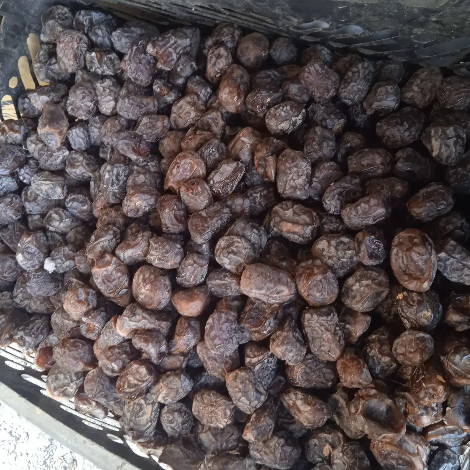 خرما مرداسنگ درجه یک|خوردنی و آشامیدنی|توکهور, |دیوار