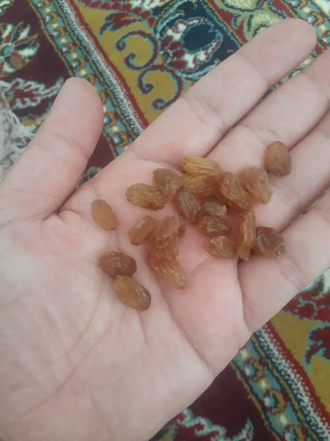 کشمش اشغاری اماده خوردن|خوردنی و آشامیدنی|شیروان (خراسان), |دیوار