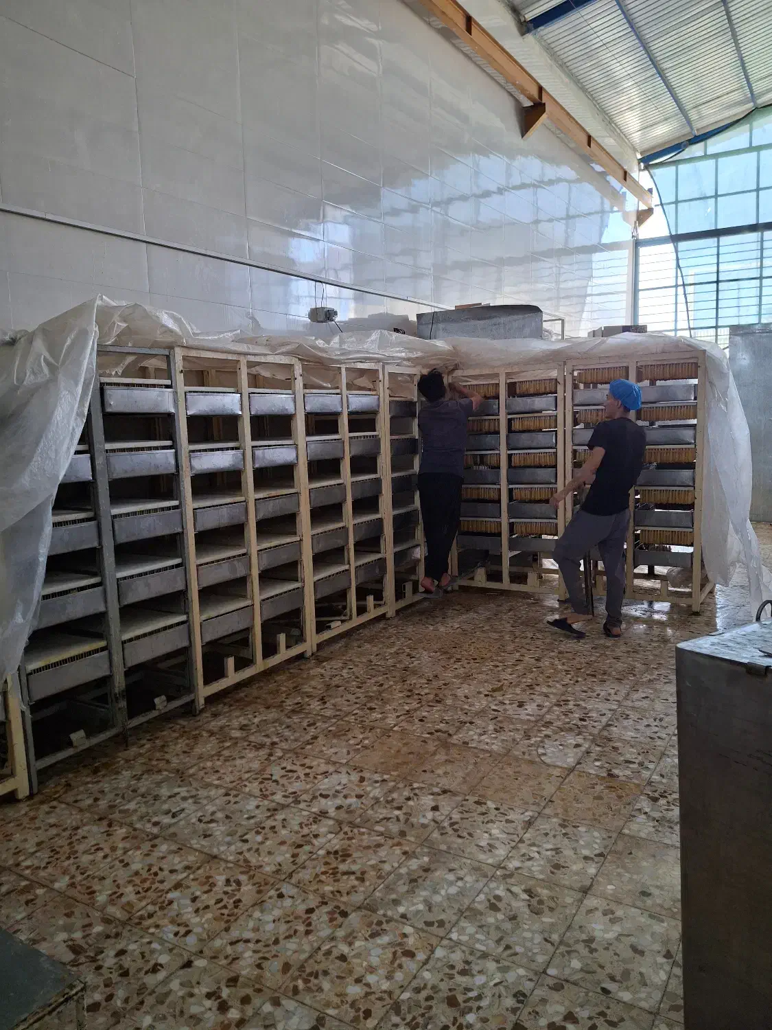 فروش کامل تجهیزات و ماشین الات تولید خط نبات|عمدهفروشی|برخوار, |دیوار