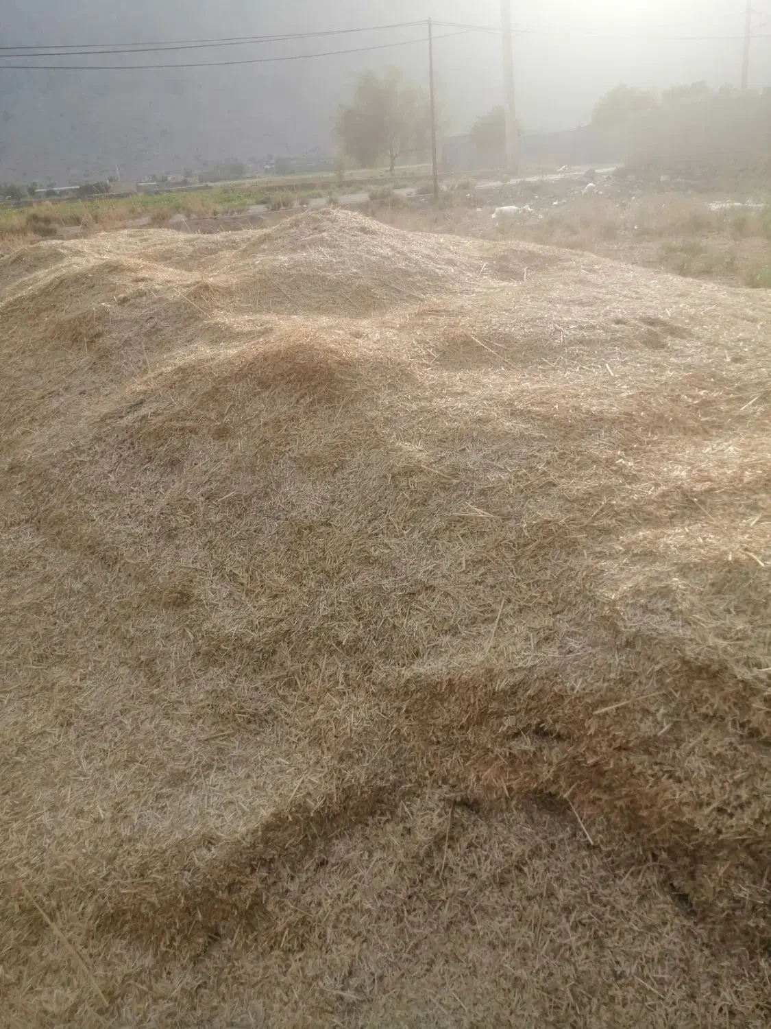 کاه گندم|عمده‌فروشی|رستم, |دیوار