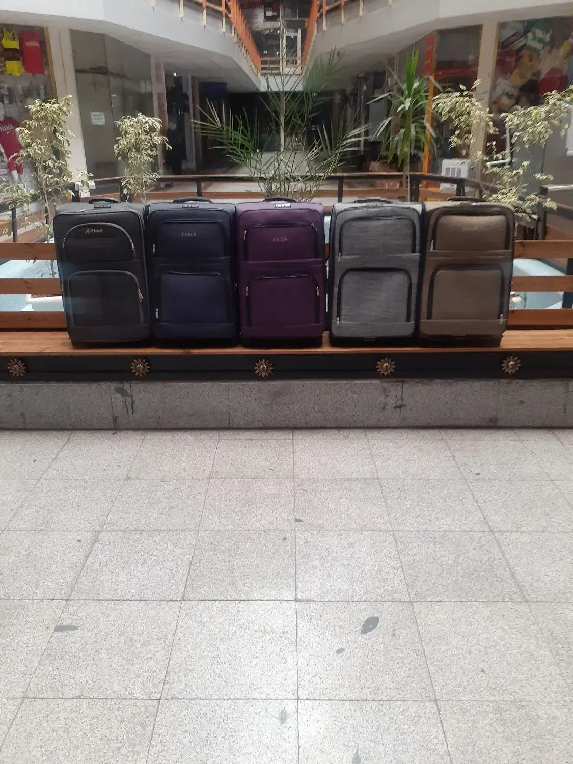 چمدان|کیف، کفش، کمربند|تبریز, |دیوار