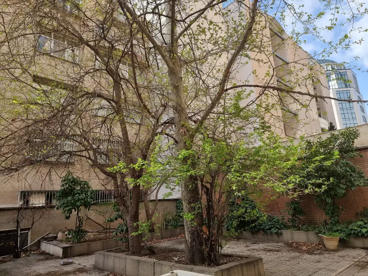 ۲۰۷ متر سید خندان* ۱۴۰ متر حیاط* پارکینگ سندی|فروش دفتر کار، اتاق اداری، مطب|تهران, نیلوفر|دیوار