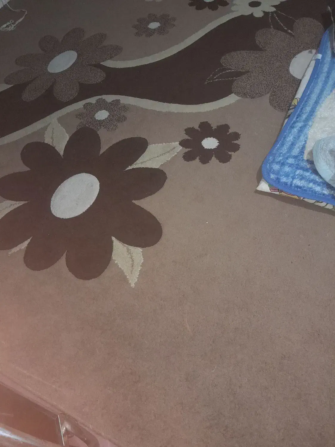 ۲ عدد قالی ۹متری|فرش|اهواز, باغ شیخ|دیوار