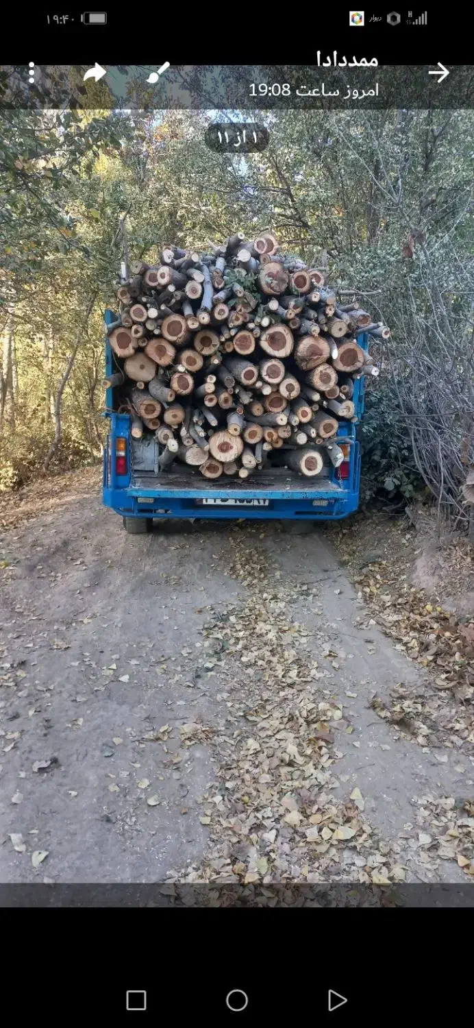 خریدفروش چوب|خدمات باغبانی و درختکاری|خرمدره, |دیوار